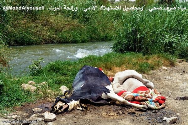 ������.. ������ ������� ��