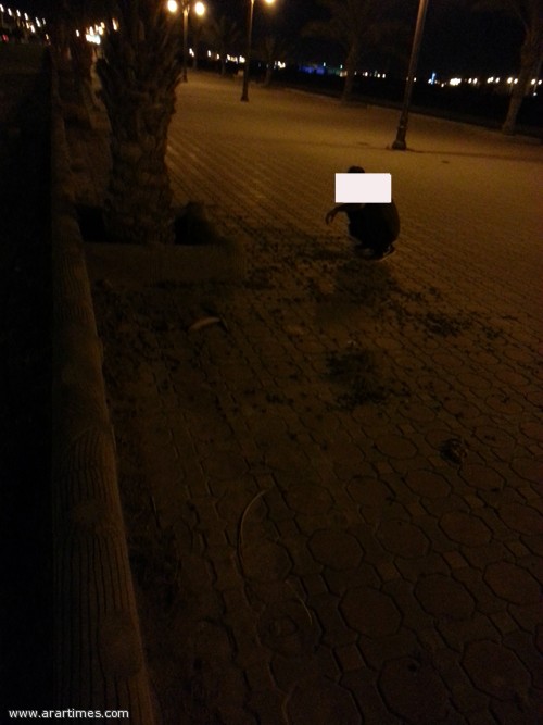 �����  ���� ����� �� ����� ������ ����� 