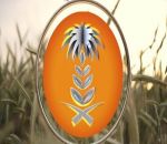 وظائف شاغرة في المؤسسة العامة للحبوب