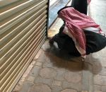 أمانة الشماليه تغلق 5 محلات تجارية بعرعر