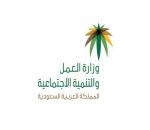 ضبط 697 مخالفة في منافذ تأجير السيارات