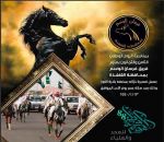 القنفــذة تهني الوطن.