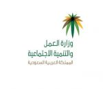 توطين 20 ألف وظيفة محاسبة بحلول 2022