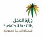 10 آلاف وثيقة عمل حر لمواطنين بالمناطق