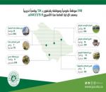 124 دورة لـ 3118 موظف بمعهد الإدارة العامة