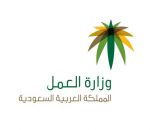 ضبط 531 مخالفة لمنع العمل تحت أشعة الشمس