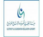 الكهرباء تطلق تطبيقها على الأجهزة الذكية