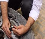 إحباط تهريب 394 ألف حبة كبتاجون