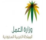 «العمل» تدشن خدمة مستشارك العمالي